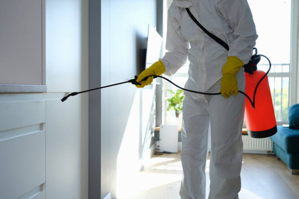 Best Residential Mold Removal  in Elk Grove, CA