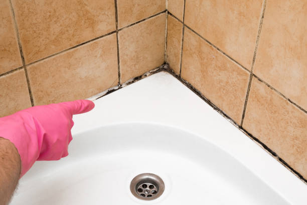 Best Mold Testing  in Elk Grove, CA